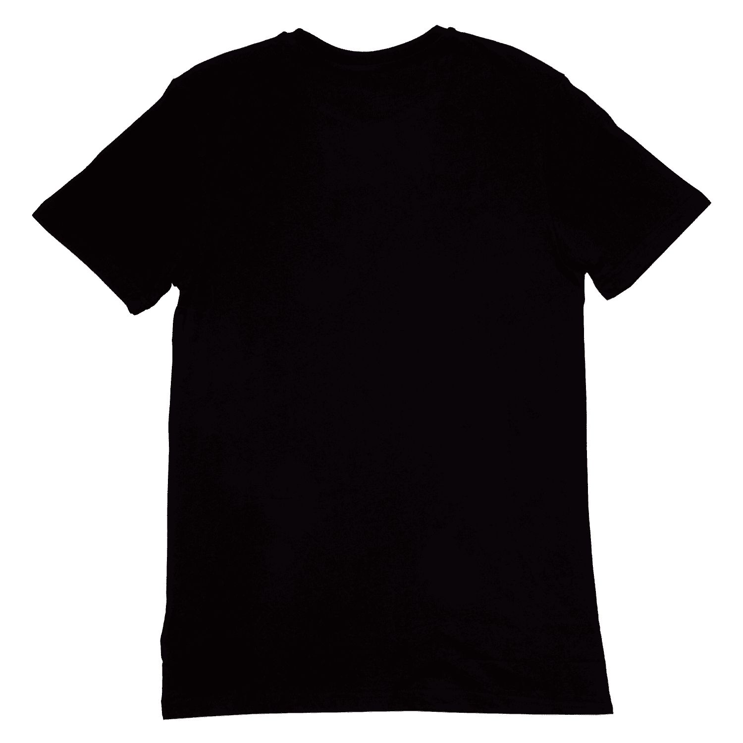 Universal Monsters The Bride Of Frankenstein Unisex Tee
